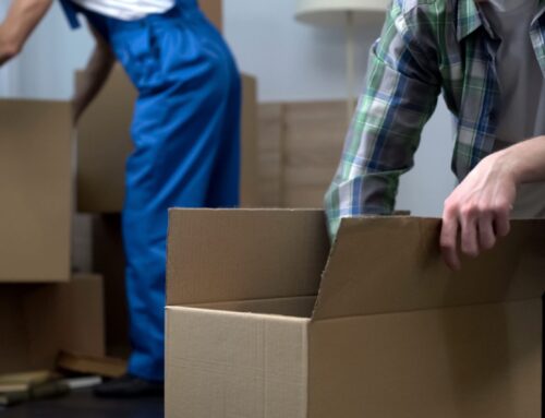 Budget-Friendly Moving Solutions: Navigating Cheap Moving Companies Near You
