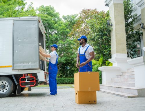 Best Movers And Packers of 2024 | See Our First Choice